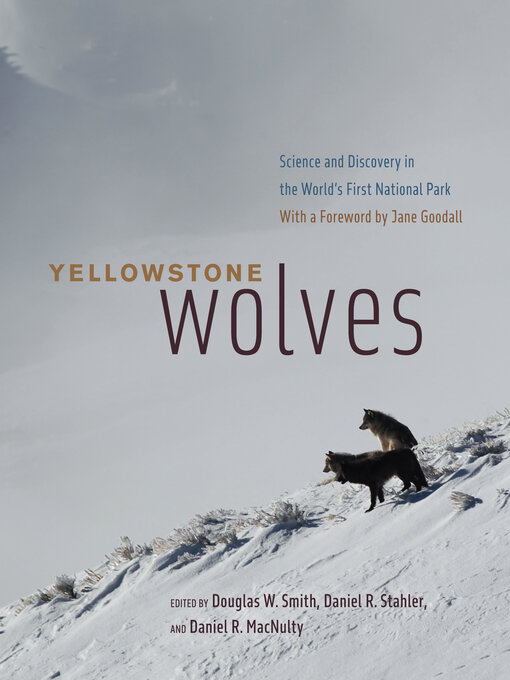 Title details for Yellowstone Wolves by Douglas W. Smith - Available